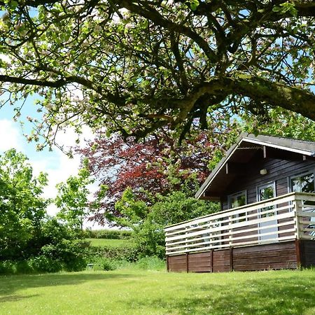 Avallon Lodges Лонсестон Екстер'єр фото