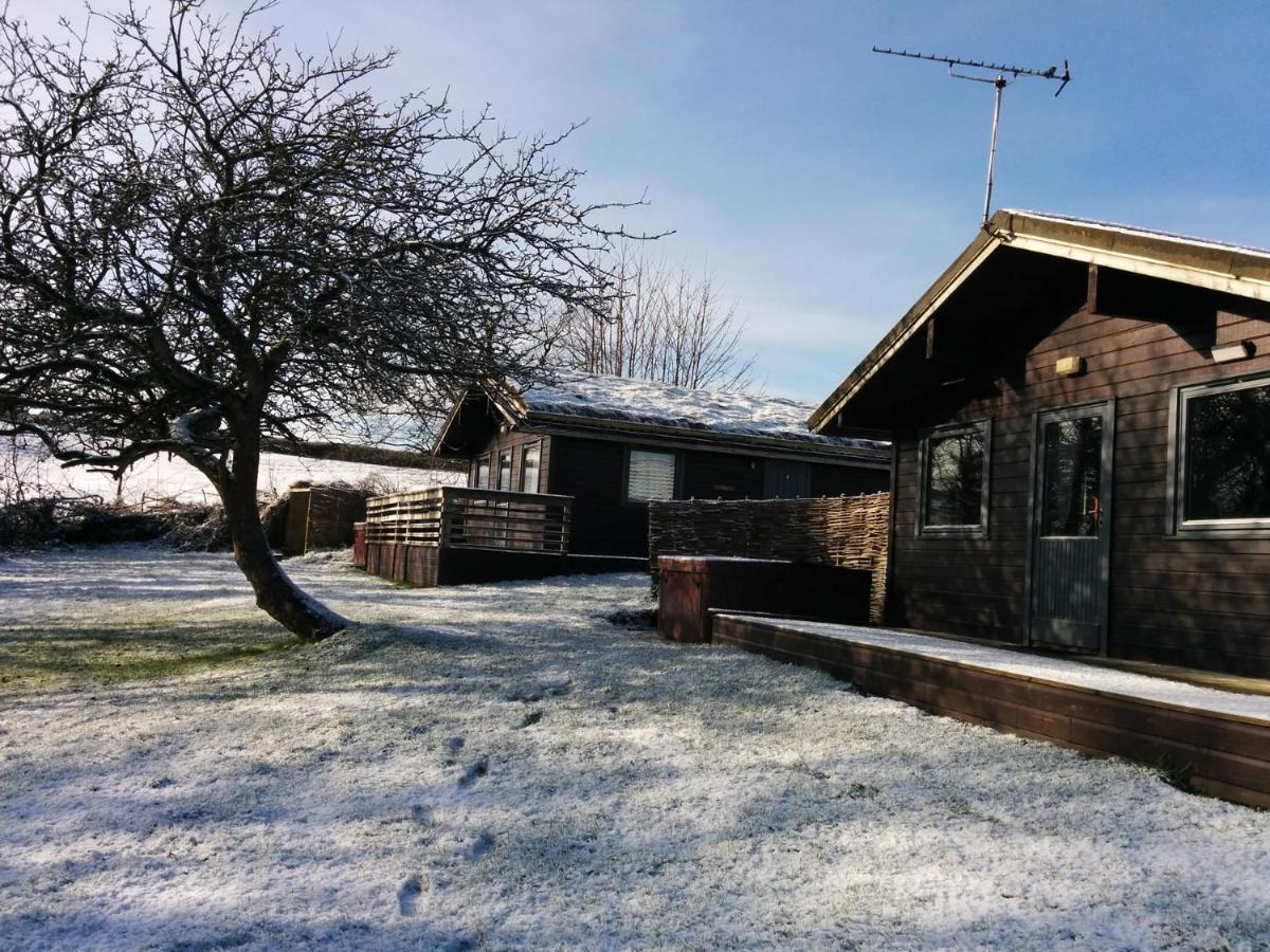 Avallon Lodges Лонсестон Екстер'єр фото